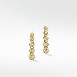 Shimmer Graudated  Earrings