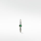 The Colourful Connoisseur