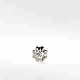 The Twilight Temptress