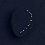 The Twilight Temptress