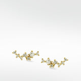 Orion Nebula Gold Studs