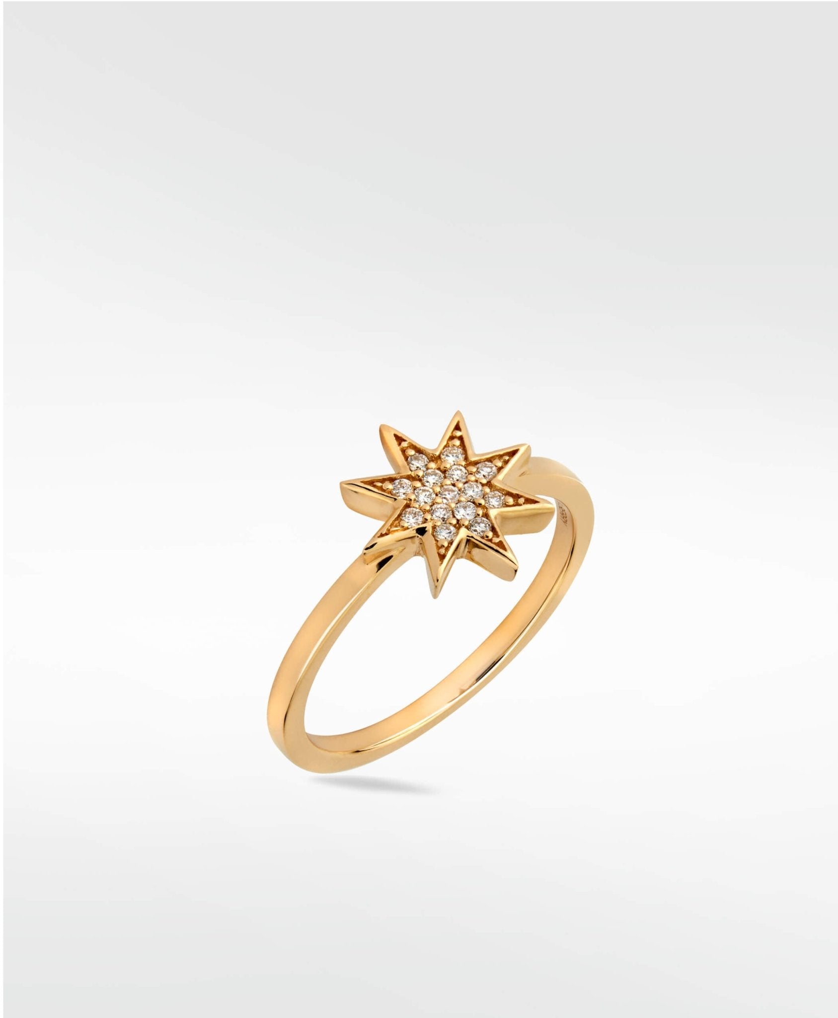 Star Diamond PavŽ Ring in 14K Gold - Lark and Berry